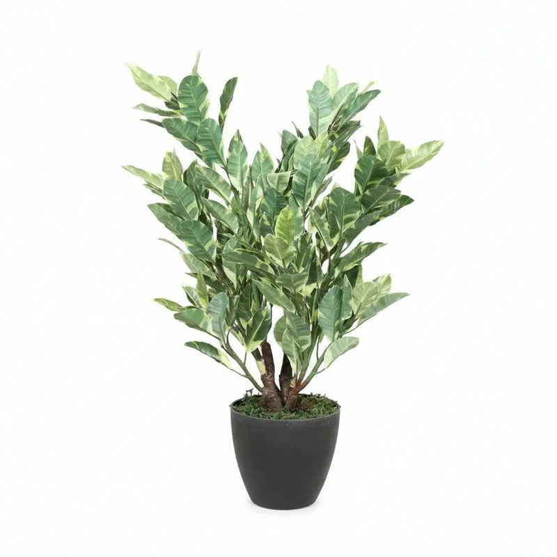 Artificial Quercus Plant Without Pot - 2.2 Feet media 6