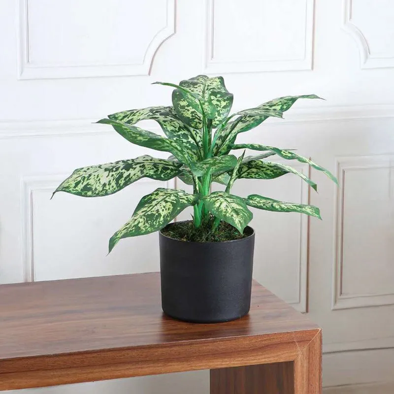 Verdant Touch Dieffenbachia Artificial Plant Without Pot - 1.9 Feet media 2