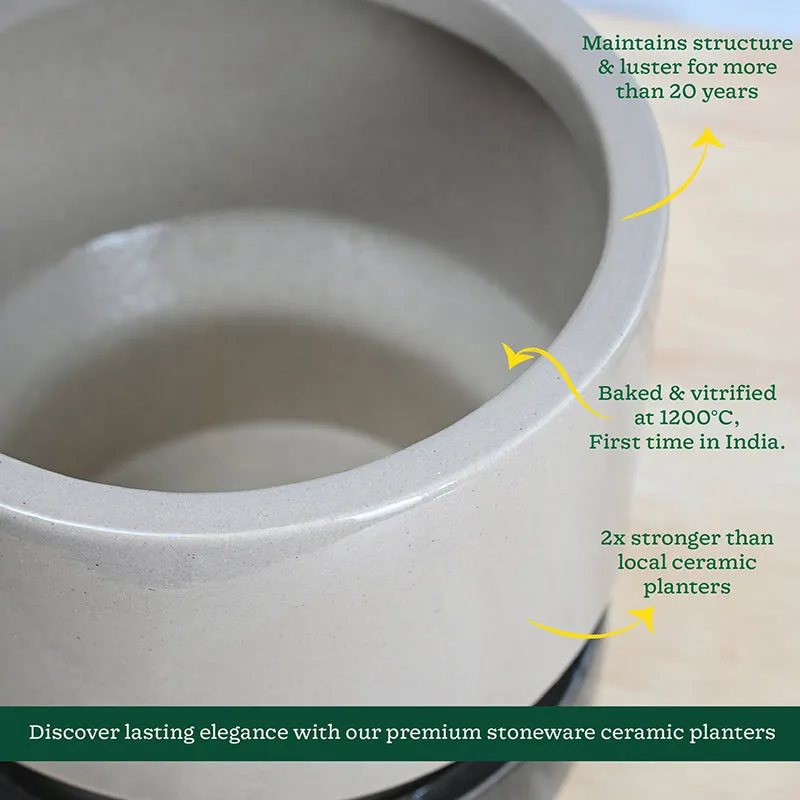 Ugaoo Pot-fection Ceramic Planter - Black media 6