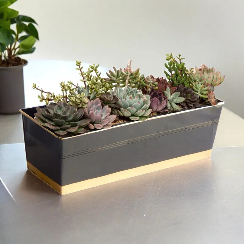 Zutoia Black Planter - Black media 3