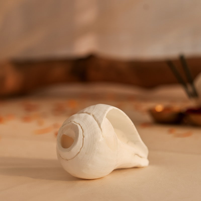 Sacred Shankh Shell Pooja Essential media 3