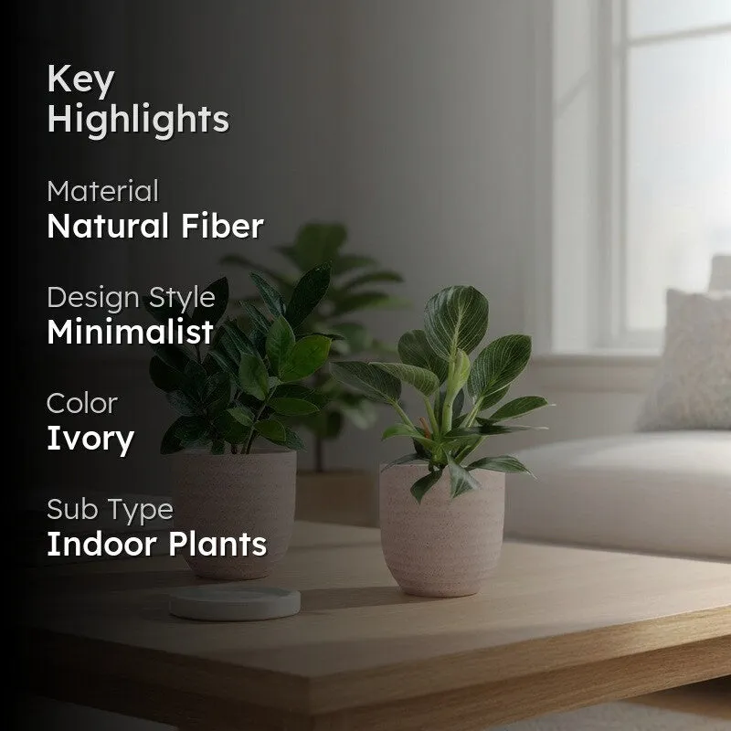 Greenkin ZZ & Birkin Live Plants (Ivory) - Set Of Two media 2