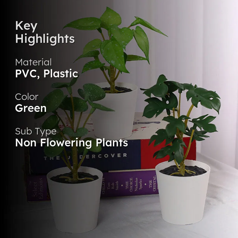 Verdanta II Artificial Tabletop Plant - Set Of Three media 2