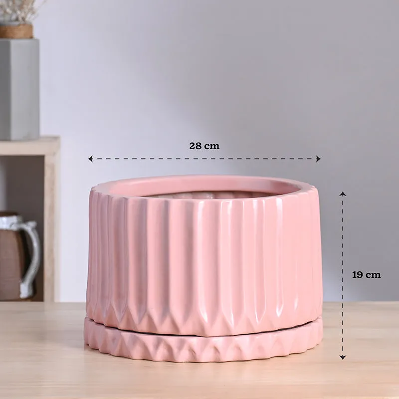 Ugaoo Stria Ceramic Planter - Pink media 10