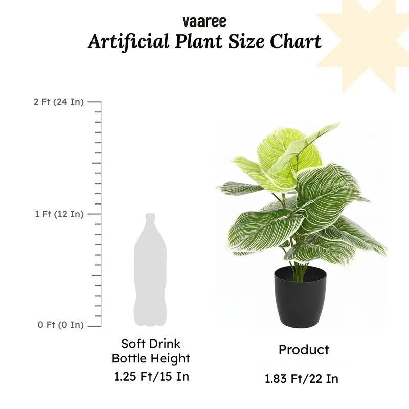 Verdiva II Artificial Plant With Black Plastic Pot - 1.8 Feet media 6