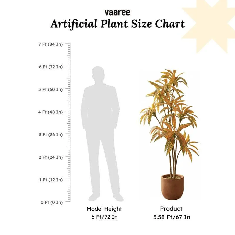 Ventira Artificial Dracaena Green Tree With Black Plastic Pot 5.6 ft media 7