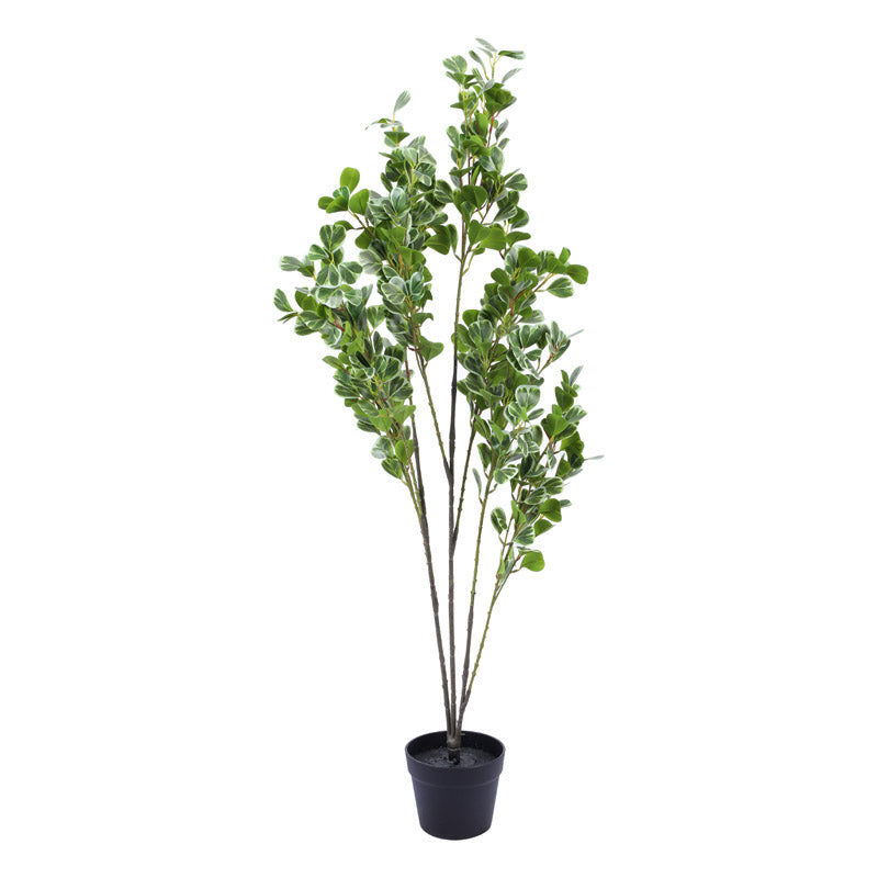 Artificial Realistic Schefflera Plant With Black Plastic Pot - 3.9 Feet media 5