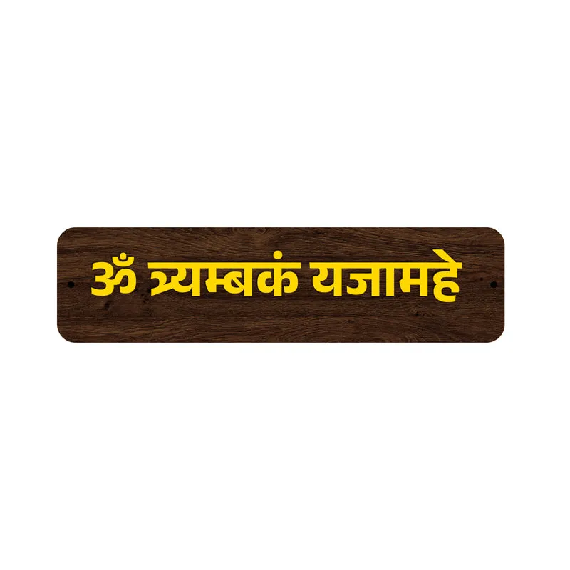 Om Thryambakam Yajamahe MDF Wall Accent media 3