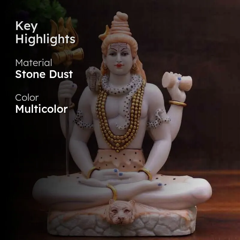 Shiv Shambhu Idol media 2