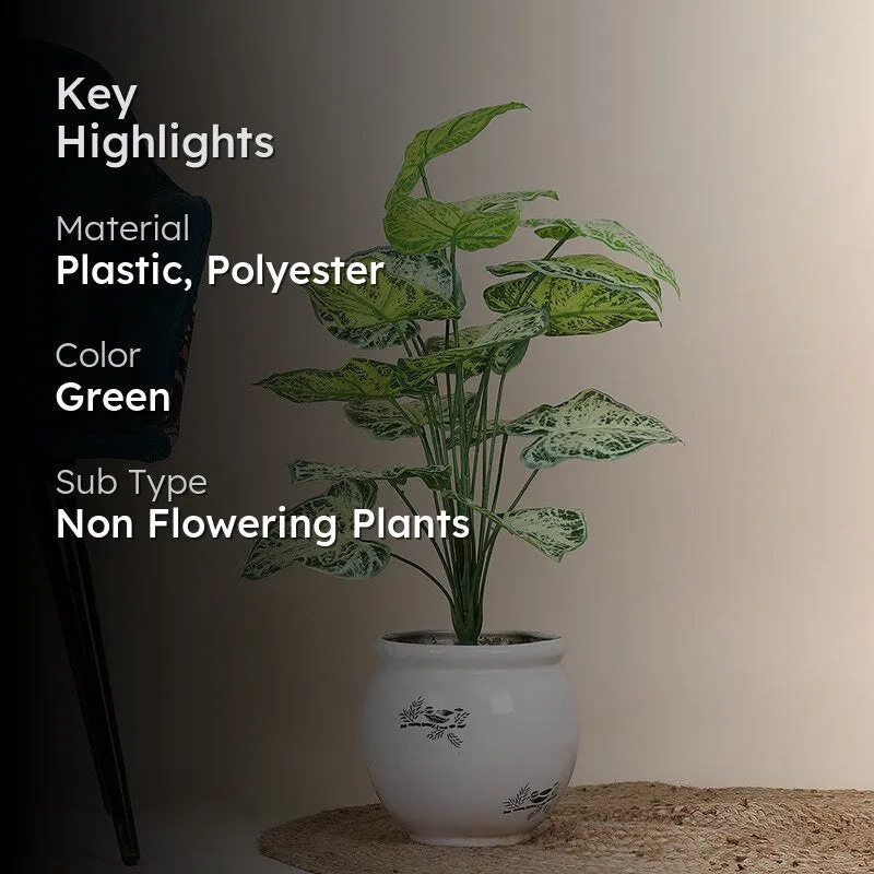 Faux Botanic Light Green Alocasia Plant - 2 Feet media 2