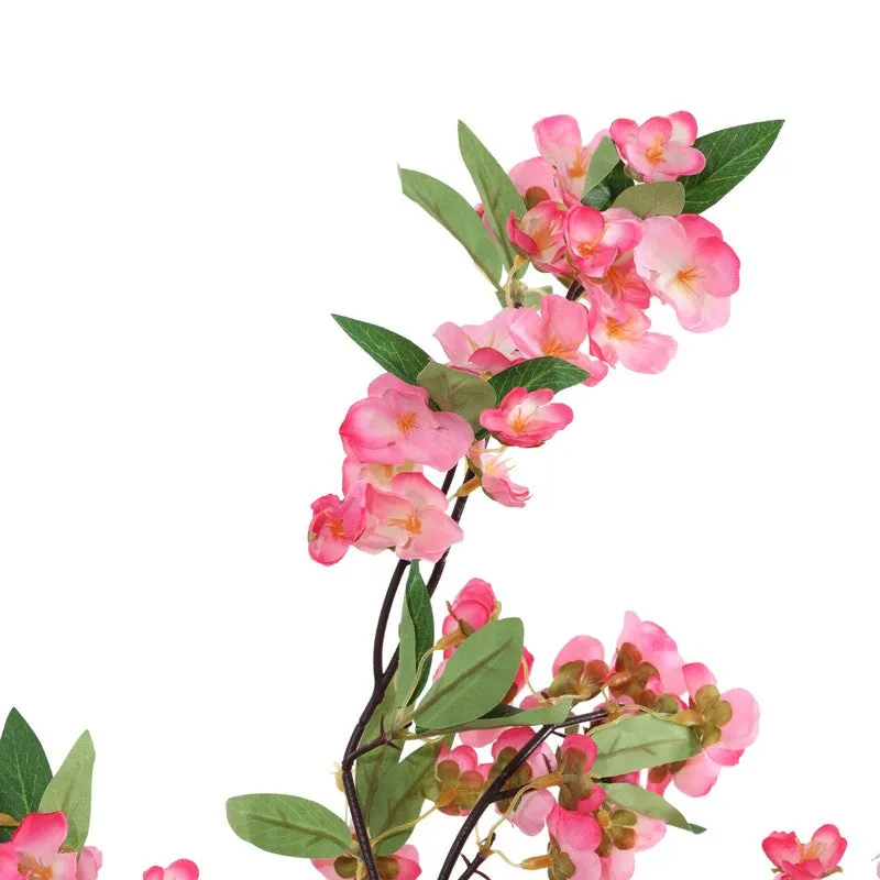 Cherry Blossom Plant With Black Plastic Pot - 5 ft media 7