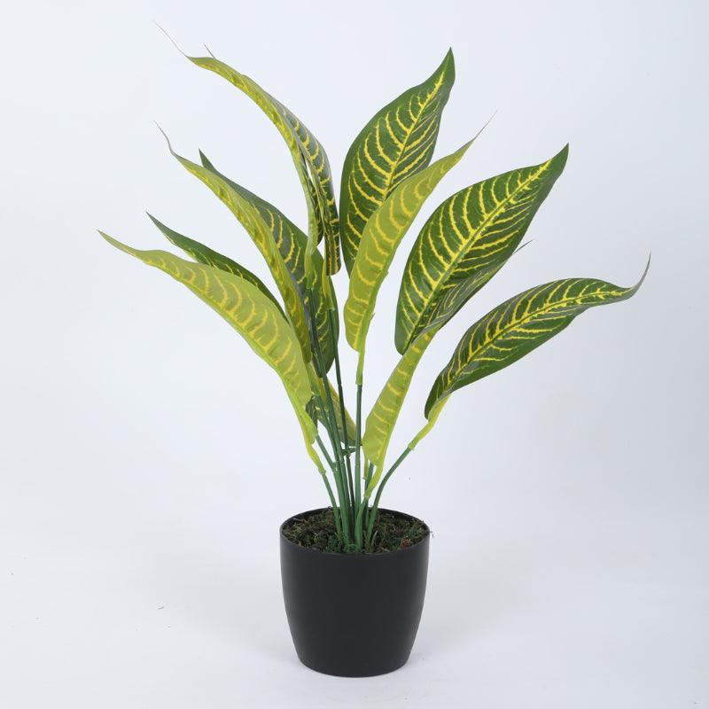 Faux Yellow Croton Plant With Black Plastic Pot (50 cms) - Set Of Two media 5