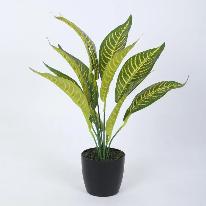 Faux Yellow Croton Plant With Black Plastic Pot (50 cms) - Set Of Two media 5