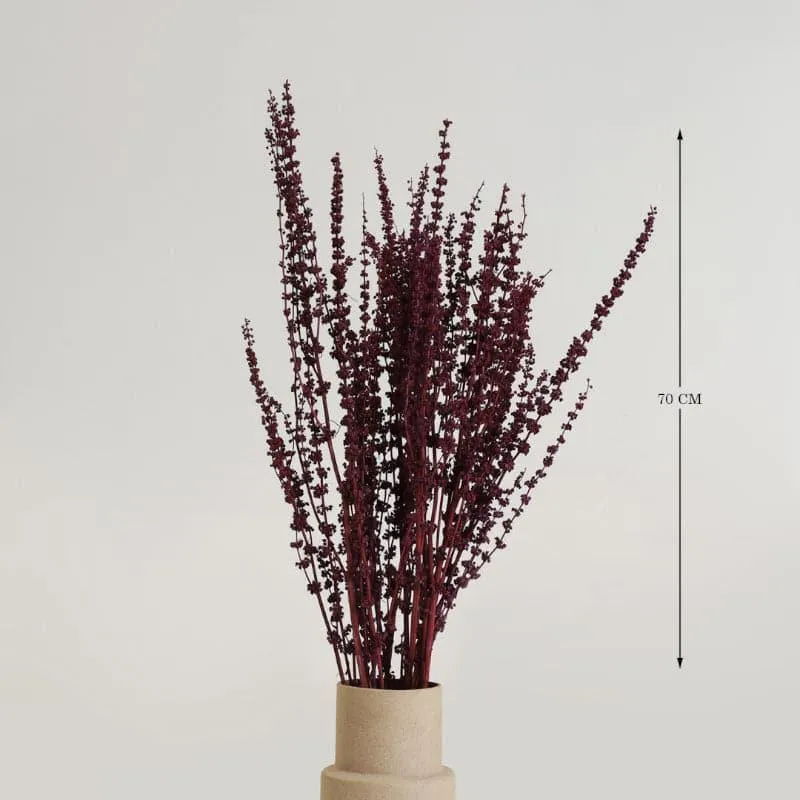Plato Millet Grass Dried Palm Grass Bunch - Red media 4