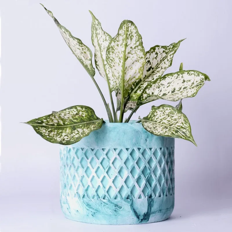Diemona Planter - Green media 5