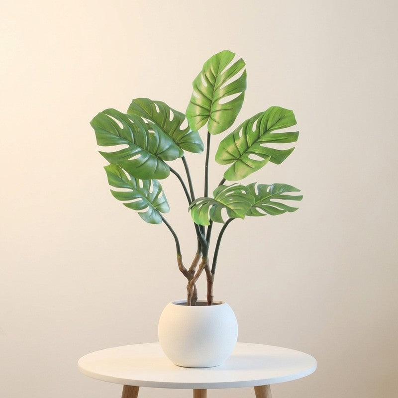 FreshForm Artificial Plant With Black Plastic Pot - 2.6 ft