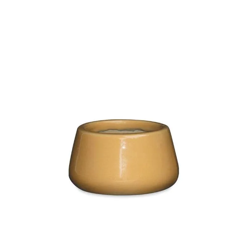 Ugaoo Tulip Fantasy Ceramic Planter (14 CM) - Sandal media 4
