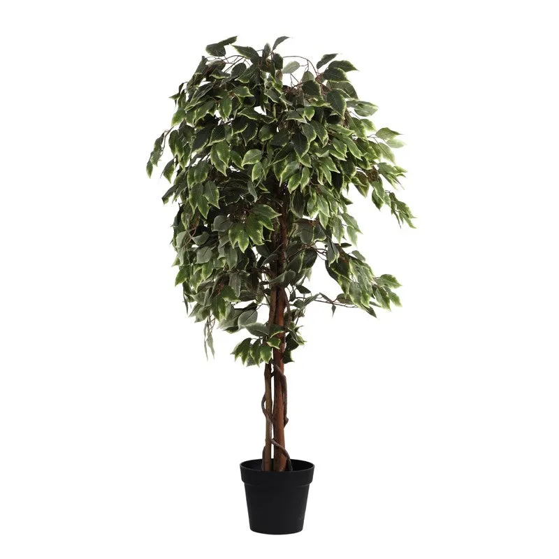 Artificial Variegated Ficus Plant With Black Plastic Pot - 5 ft media 3