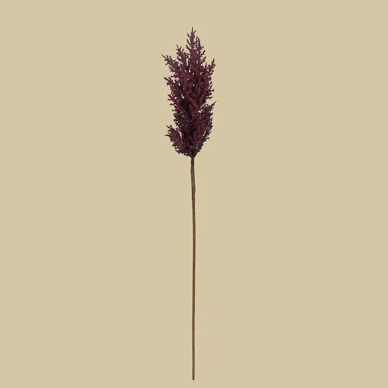 Pampera Artificial Pampas Without Vase (Maroon) - 3 Feet media 3