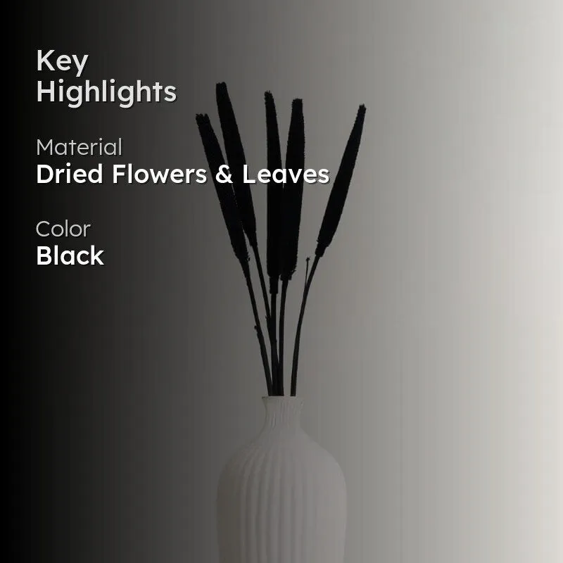 Mimo Dried Millet Grass (Black) - Set Of Five media 2