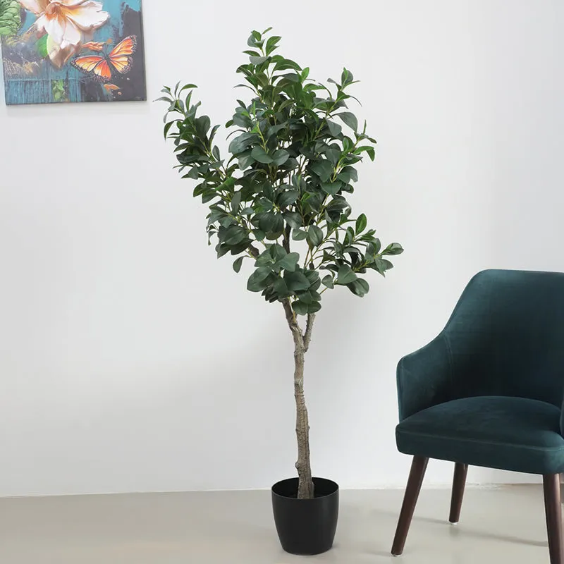 Villa Verde Artificial Ficus With Black Plastic Pot - 5.3 Feet media 3