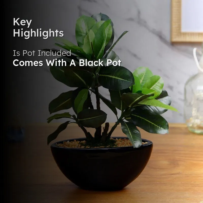 Faux Quercus Bonsai In Bowl Black Plastic Pot (29 cms) - Green media 2