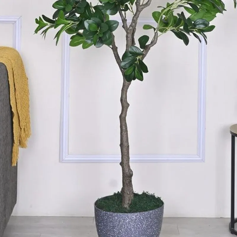 Artificial Peperomia Plant Without Pot - 5.9 Feet media 4