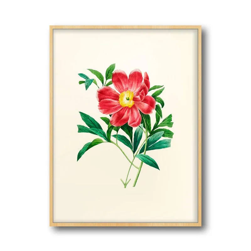 Fiery Bloom Archival Paper Wall Art - Natural Brown Frame media 5