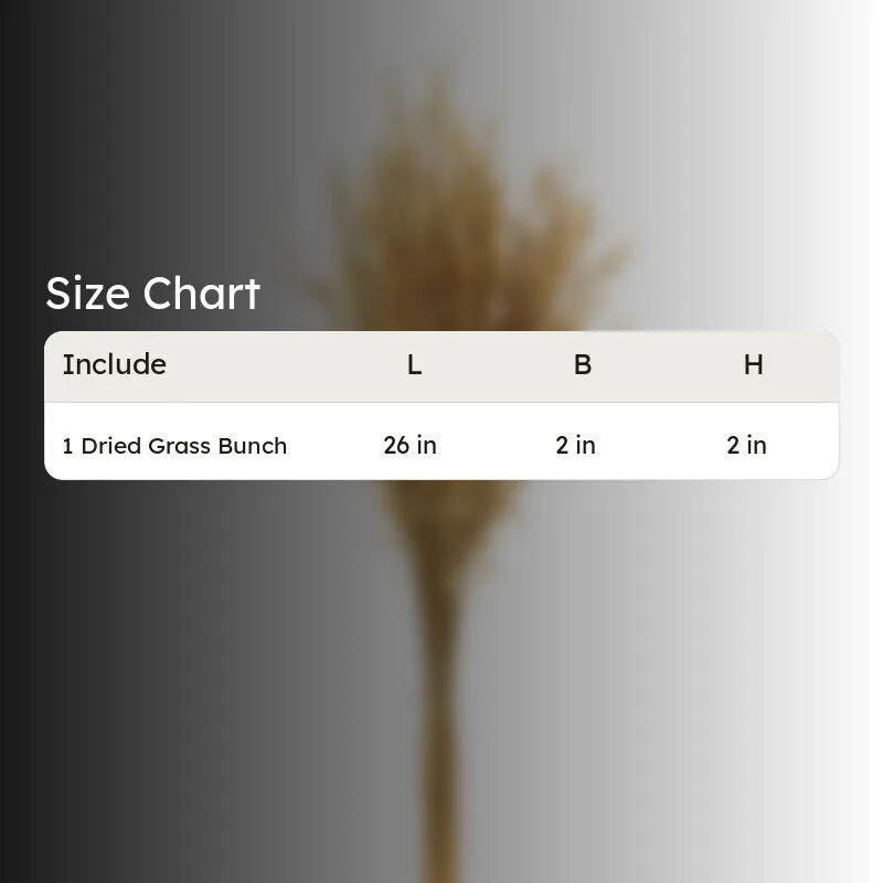 Yinira Naturally Dried Havana Grass media 6