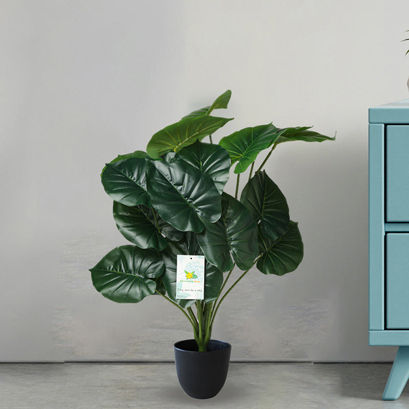 Faux Everlasting Cardinal Philodendron Plant With Black Plastic Pot - 74 cm (2.4 ft) media 5