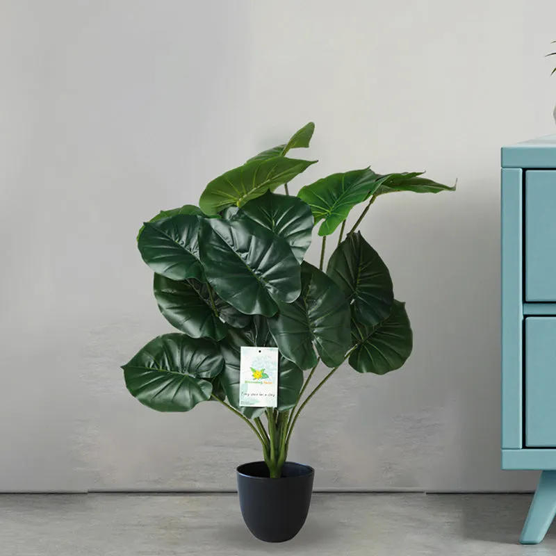 Faux Everlasting Cardinal Philodendron Plant With Black Plastic Pot - 74 cm (2.4 ft) media 5