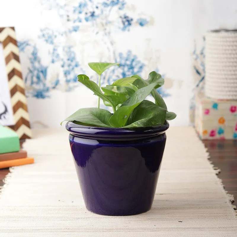 EternaBloom Planter Series - Set Of Two media 4