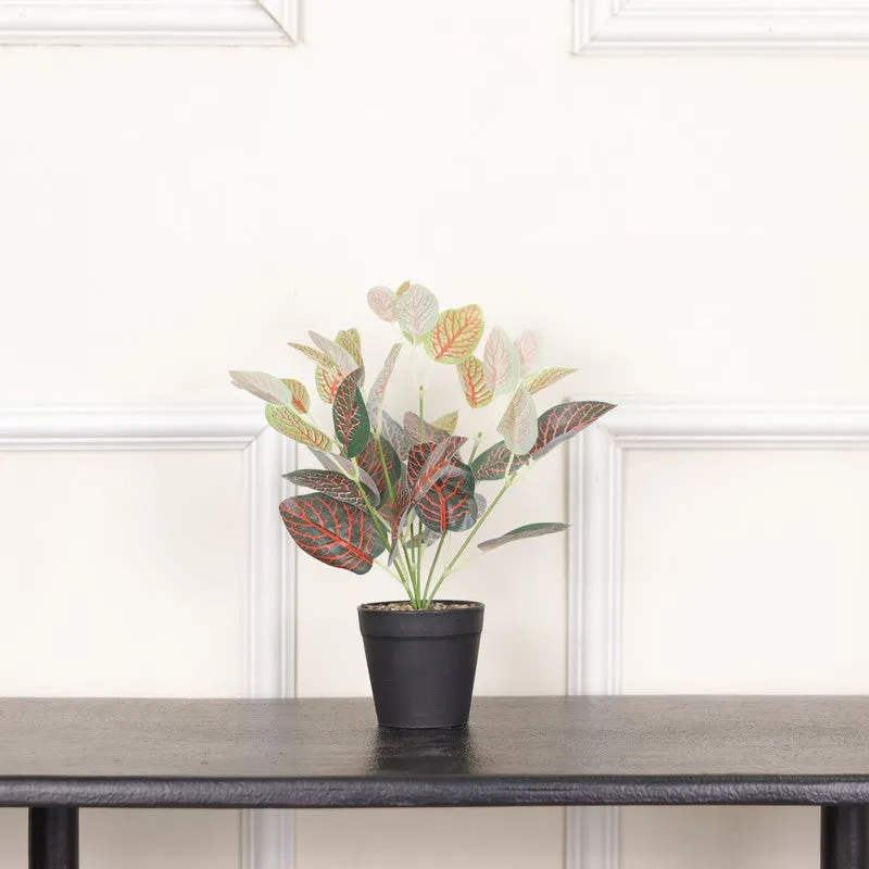 Artificial Nerve Plant With Black Fiber Pot (Red) - 0.9 Feet media 3
