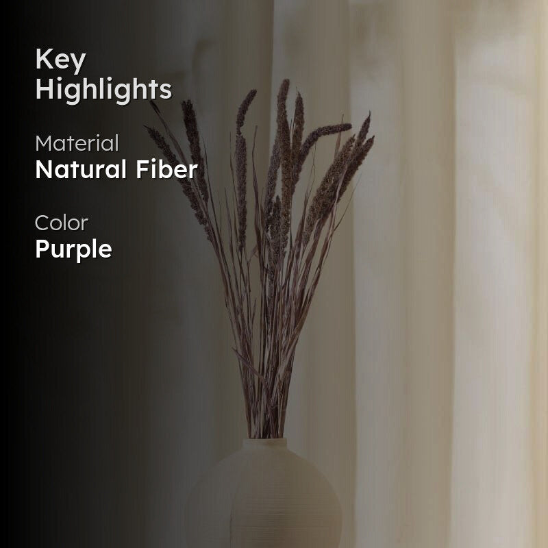 (Purple) Dried Millet Grass Stems (2.3 ft) - Set Of Twenty Stems media 2