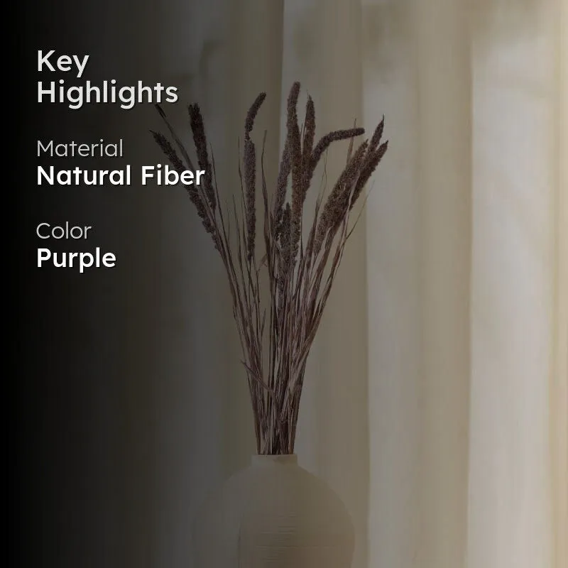 (Purple) Dried Millet Grass Stems (2.3 ft) - Set Of Twenty Stems media 2