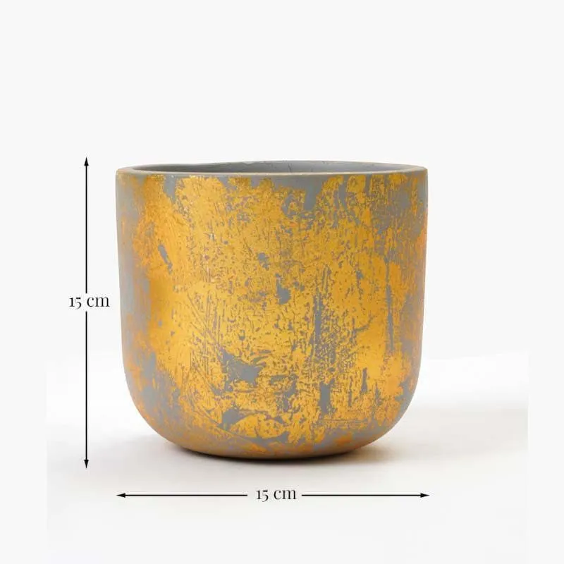 Gold Embossed Planter media 4