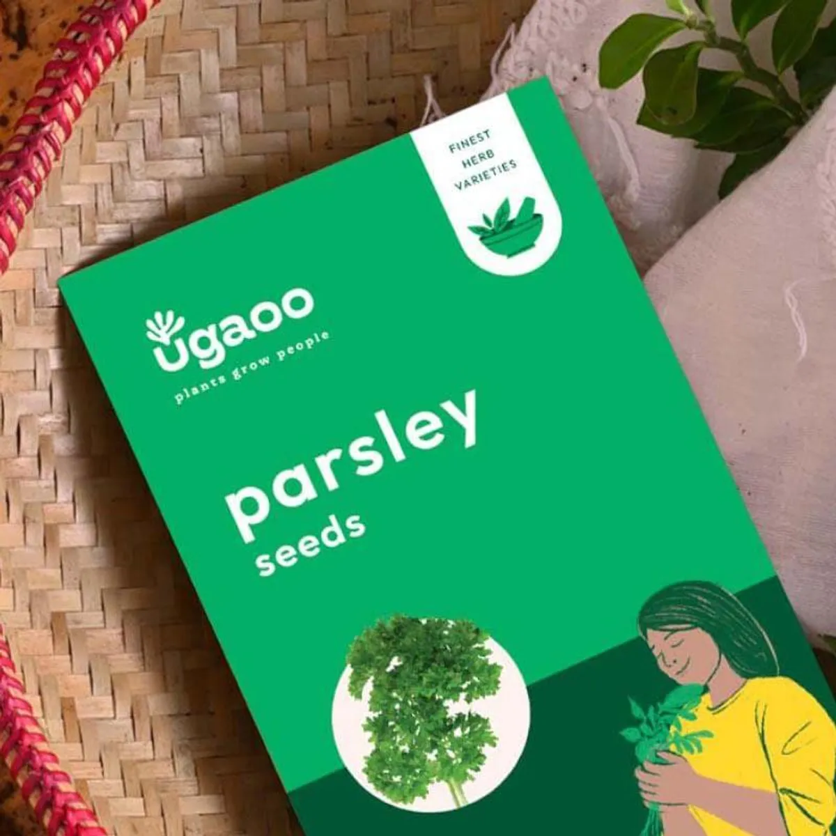 Close-up of green parsley seed pack with illustrated figure