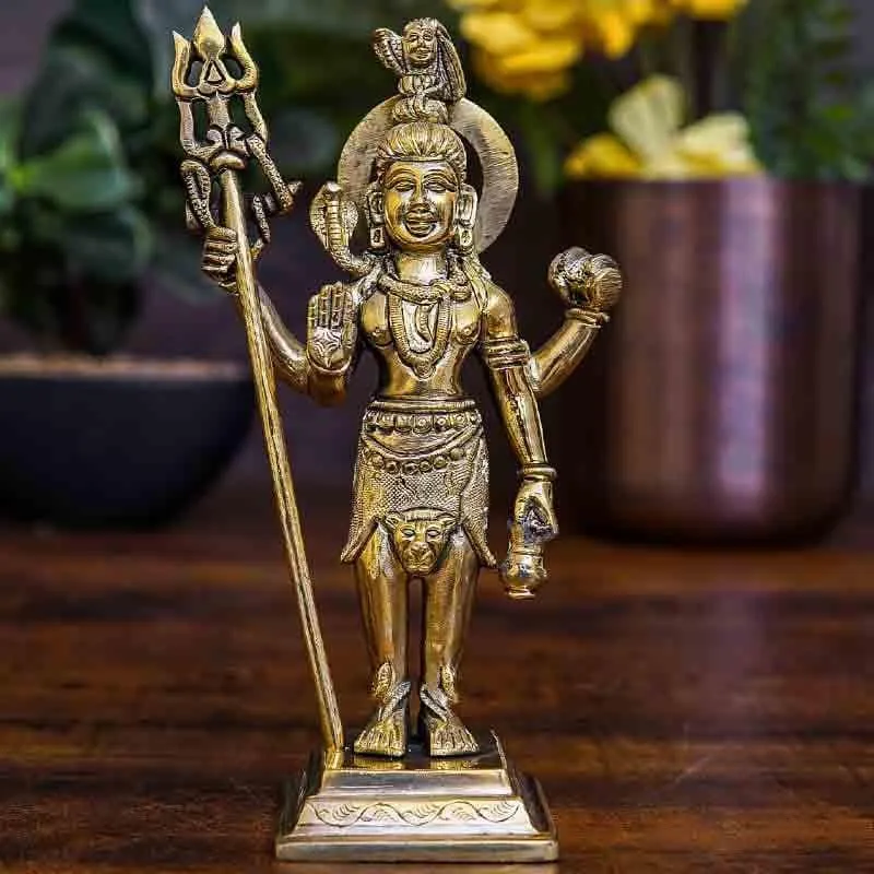Shiv Tandav Idol media 1