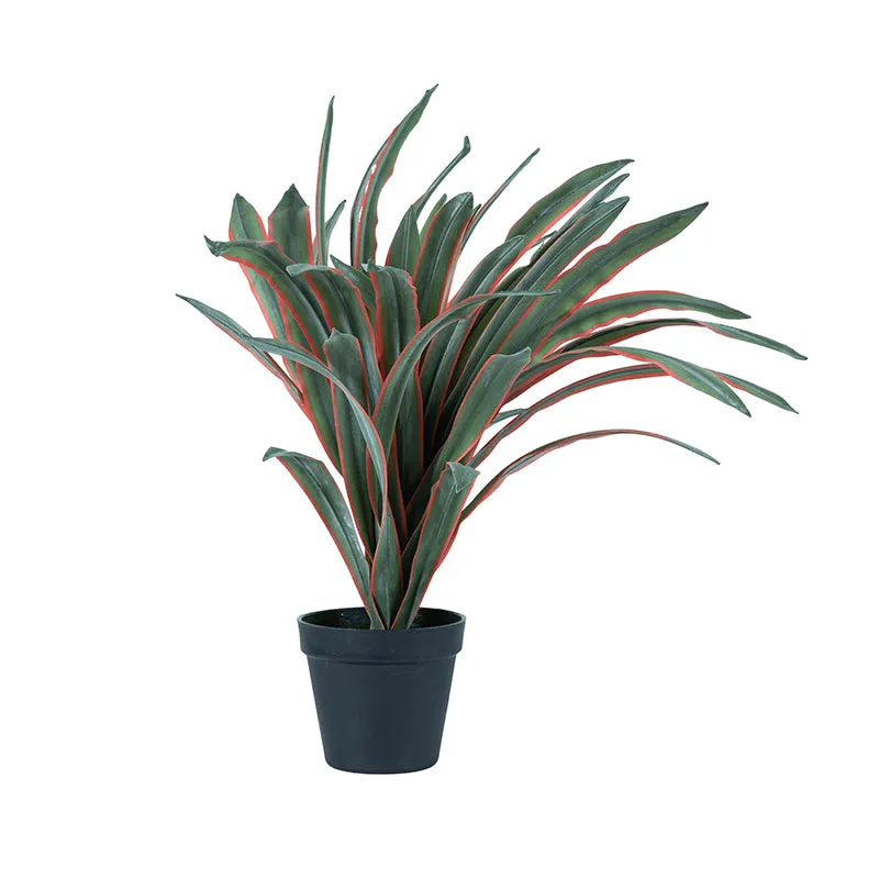 Cordia Artificial Cordyline Plant With Black Plastic Pot - 1.8 Feet media 7