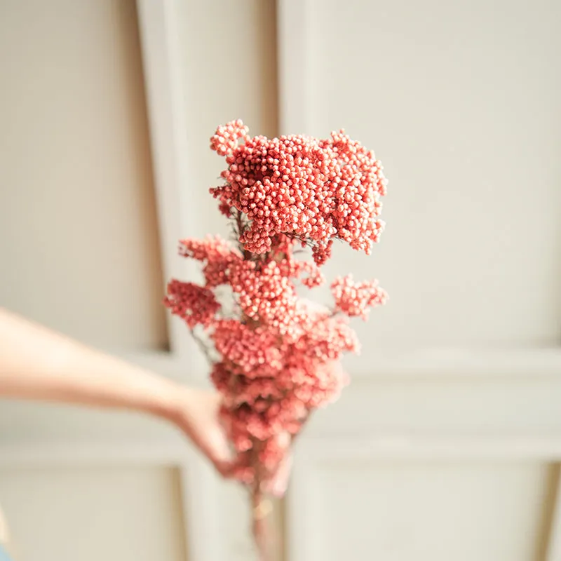 Artificial Rice Flower Stem (Light Pink) - Set Of Three media 3
