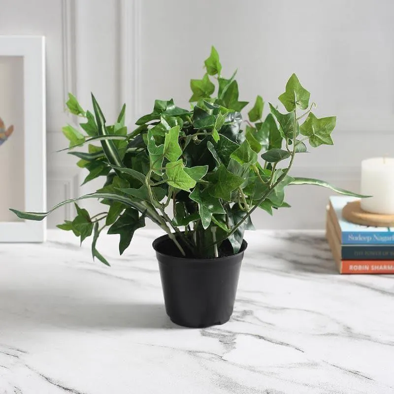 Faux Bonsai In Black Plastic Pot - 25 cms media 2