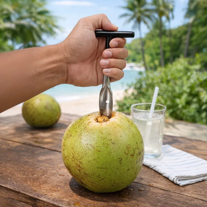 Hand holding the silver coconut opener over a coconut in an outdoor setting