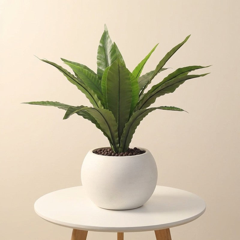 Evergree Touch Artificial Plant With Black Plastic Pot - 1.6 ft