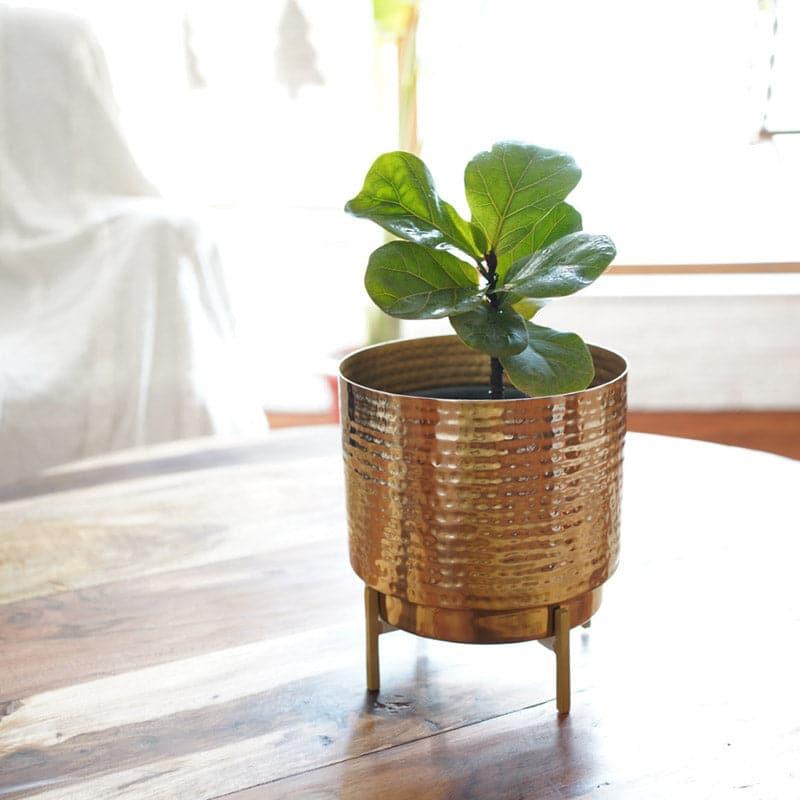 Nicolette Metal Planter - Small media 3