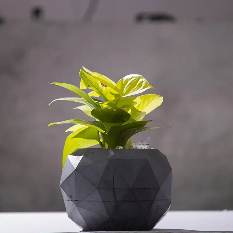 Facet Geometric Planter media 2