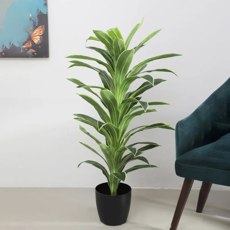 Everlyn Artificial Dracaena Plant With Black Fiber Pot - 4.6 Feet media 5