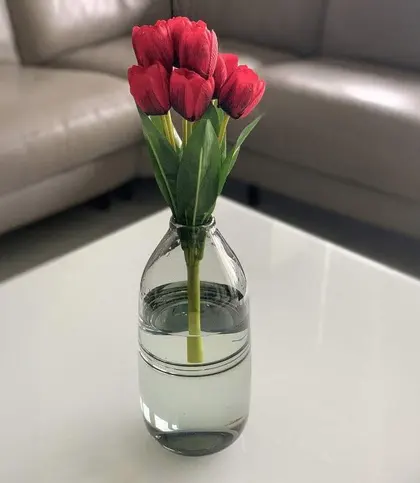 Silk · Plastic