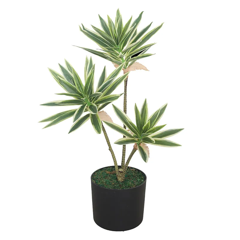 Timeless Sprouts Artificial Plant With Black Plastic Pot media 4