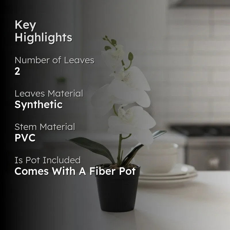 Artificial White Orchid Flower Plant With Fiber Pot - 1 Feet media 2