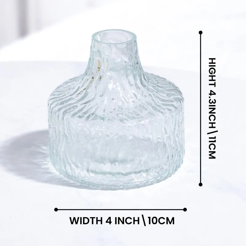Lysandra Glass Vase media 9